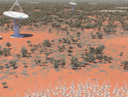 An artist's impression of the Square Kilometre Array's antennas in Australia. ©SKA Organisation