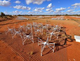 Tiles at the Murchison Widefield Array